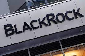 BlackRock investment management firm