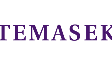 Temasek FTX investor