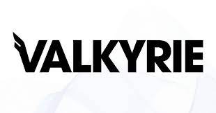 Valkyrie Investments and Grayscale Trust