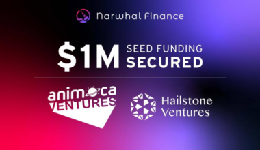 Narwhal Finance Secures $1M in Seed Funding Led by Animoca Ventures