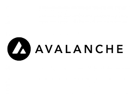 Avalanche (AVAX) Downtime Raises Questions about Network Stability