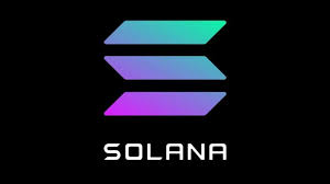 Solana CEO has denied speculation that the network outages