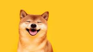 Shiba Inu developers recently announced that they are set to launch Shiba's Metaverse by the end of this year.