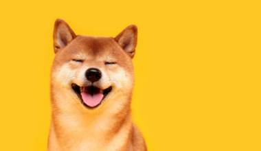 A massive whale in the world of Shiba Inu ($SHIB) has expanded its holdings to nearly 5 trillion tokens