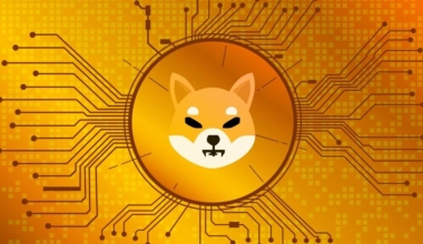 Shiba Inu's Shibarium testnet is seeing a surge in activity, with over 14 million transactions