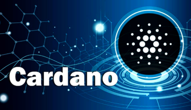 Cardano's ADA cryptocurrency has experienced remarkable adoption and growth in the United States