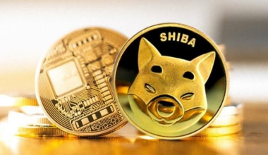 Shiba Inu Witnesses Surge in Large Transactions, Reaching $46.45 Million in a Day