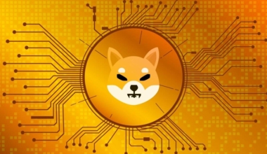 Shiba Inu surges 30% in a month