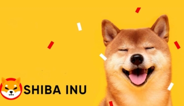 Lucie the Chief Marketing Strategist of Shiba Inu