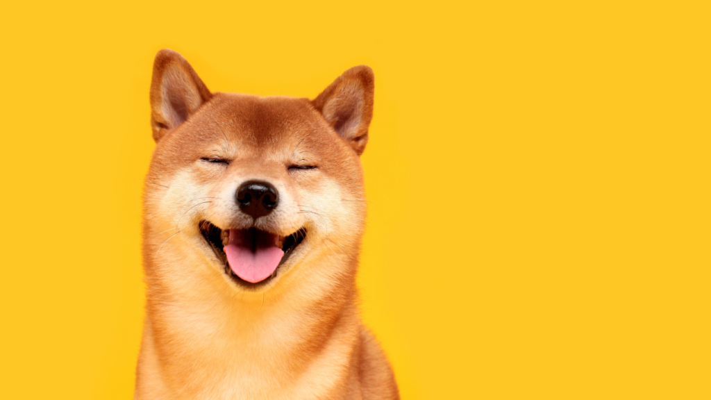 The Shiba Inu (SHIB) community is buzzing with activity as a staggering $115 million worth of SHIB has been moved around by whales.